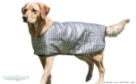 Cooldown Cape Hundemantel mit 85% Sonnenreflektion