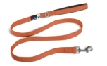 Curli Basic Nylon Hundeleine, orange