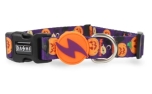 Dashi Pumpkin Collar