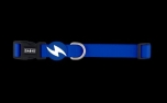 Dashi Solid Blue Collar