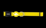 Dashi Solid Yellow Collar