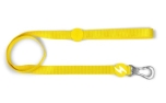 Dashi Solid Yellow Leash