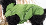 DogBite Regenjacke, grün