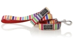 Doog Lead Scooby multi-color striped