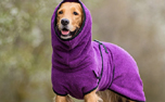 DRYUP cape Hundebademantel, edition bilberry