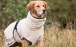 DRYUP cape Hundebademantel, edition sand