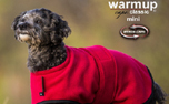 DRYUP Warmup-Cape CLASSIC Mini Hundemantel, bordeaux
