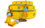 DWAM Dog With A Mission Blue Star Halsband