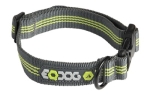 EQDog Classic Collar Hundehalsband, grün