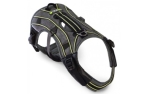 EQDog Pro Harness Green stripes