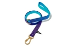 Found My Animal Egg Blue to Violet Cotton Hundeleine