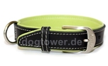 Wolters Cat and Dog Lederhalsband Terranova, schwarz/apfel