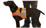 Hunde Reflektorweste, orange