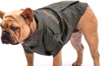 Hundejacke Baleren, oliv