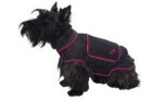 Hundejacke Pocket, schwarz/violett