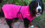 DRYUP cape Hundebademantel, edition pink