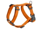 Hunter Geschirr London Vario Rapid orange