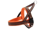 Hunter Norwegergeschirr Meldal, orange