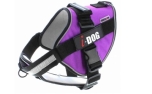 I-DOG Geschirr NeoCITY violett