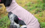 Jumppa Pomppa Hundepullover, elderberry