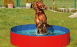 Karlie Doggy Pool, blau/rot