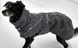 Hurtta Expedition Parka Hundemantel brombeere/blackberry