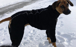 Hurtta Casual Steppoverall, schwarz