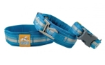 Kurgo RSG Collar coastal blue