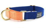 Major Darling Cobalt with Peach Martingale Collar