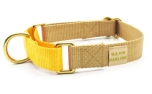 Major Darling Gold with Dandelion Martingale Collar