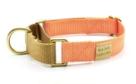 Major Darling Peach with Gold Martingale Collar