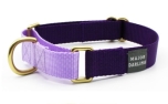 Major Darling Violet with Lilac Martingale Collar