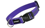 Mystique Hundehalsband gummiert, lila