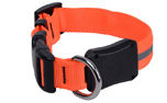 Nite Dawg LED Hundehalsband, orange