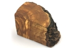 Olivi Roots