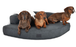 mypado Esquina Luxury Hundebett, anthrazit