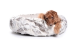 mypado K-Nax Fake Fur Hundebett, brauncreme