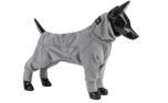 Paikka Hundeoverall leicht & wärmend Recovery Overall grau