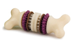 Petsafe Busy Buddy Bristle Bone