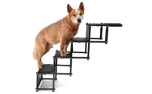 PiuPet Hundetreppe TONI