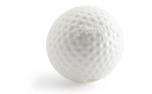 Planet Dog Orbee-Tuff Sport Golf