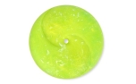 P.L.A.Y. Pet Lifestyle and You ZoomieRex InfiniDisc Green