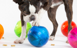 Rogz Futterball Tumbler
