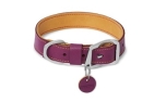 Ruffwear Timberline Collar Hundehalsband, wild plum purple