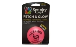 Spunky Pup Fetch & Glow Ball