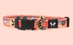 United Pets Complete Me Collar Forever