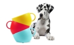 United Pets CUP Dog Bowl Aquamarine