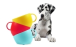 United Pets CUP Dog Bowl Red