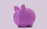 United Pets Pigs Piggy
