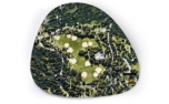 United Pets Seletti Bowl Mat New York